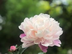 -仁和公园(顺义区)