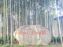 -上海醉白池公园