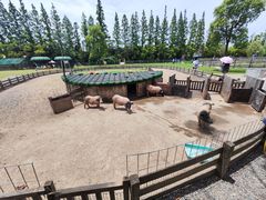 -前小桔亲子创意农场·草莓采摘·露营烧烤
