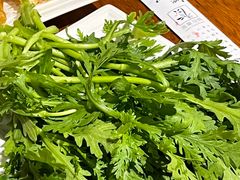 -馬蘭花開(车站大道店)