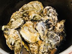 百秒滴露生蚝（中蚝10个）-蚝火爆·烧烤餐厅