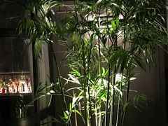 -北京三里屯CHAO酒店