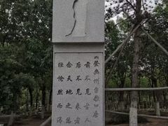 -大兴滨河森林公园