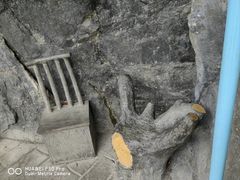 -蝶舞清江·恩施地心谷景区