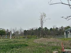 -桂溪生态公园