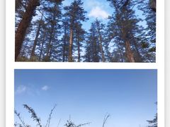 -瓦屋山景区