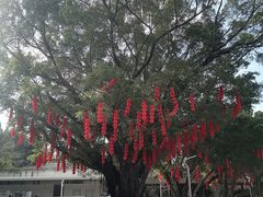 -人民公园(罗湖区)