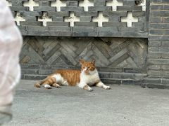 -龙华寺