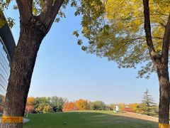 -北京国家会计学院