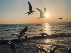 -老虎石海上公园