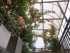 -边渡咖啡烘焙店(昙华林店)