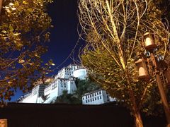 -布达拉宫