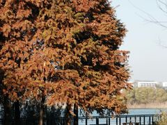 -长广溪湿地公园