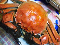 -丫丫蟹庄·苏式园林农家乐·阳澄湖大闸蟹(阳澄湖莲花岛店)