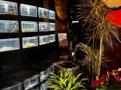 -鱼翅楼·津派砂锅鱼翅(水上公园店)