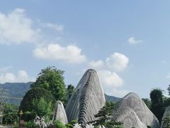 -森波拉奇妙世界