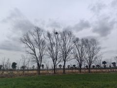 -嘉北郊野公园
