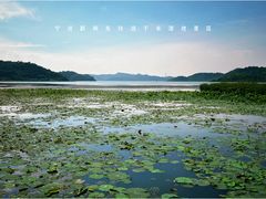 -东钱湖旅游度假区