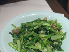 -新侨小馆(东直门北小街店)