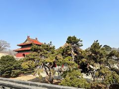 -北陵公园
