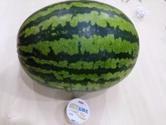 -庞各庄翠芳园西瓜蔬菜基地采摘园