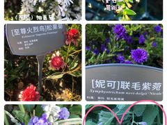 -国家植物园