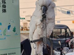 -四海楼(如皋定慧禅寺店)