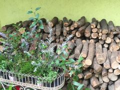 -三鹰之森吉卜力美术馆