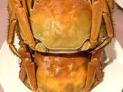 -王宝和酒家(黄浦店)