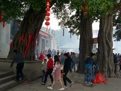 -悦城龙母祖庙