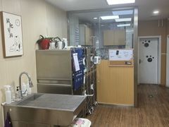 -中农大我爱我爱24h动物医院·中医针灸·猫专科·骨科医疗中心(双井店)