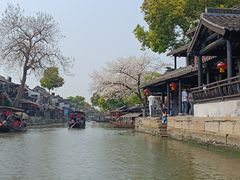 -西塘人家•黑金冠本地好店