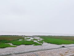 -南汇嘴观海公园