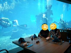 -海棠湾洲际-涛·海底餐厅·美人鱼·自助餐·海底隧道
