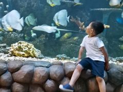 -华夏文旅海洋公园