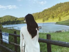 -武陵山森林公园