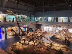 -自贡恐龙博物馆