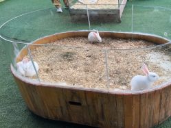 -可可天空农场(中大店)