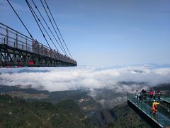 -梦幻奥陶纪景区