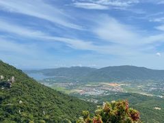 -三亚亚龙湾人间天堂鸟巢度假村