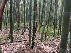 -同里国家湿地公园
