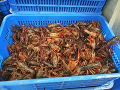 -辣螃铠盆盆蟹大排档(总店)