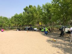 -东郊湿地公园