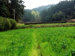 -韶山毛泽东同志故居