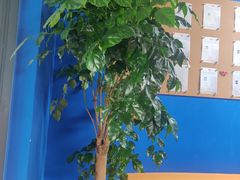 -八度音乐吉他教室(汉广店)