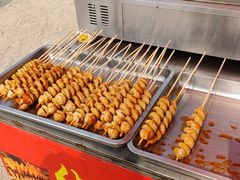 -桤木河湿地公园