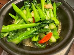 清炒广东菜心-金龙·打边炉(武进路店)