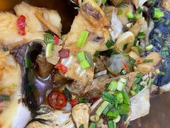 -全乐鱼馆·淳牌有机鱼直营店