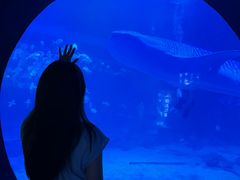 -烟台海昌鲸鲨海洋公园