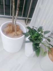 -HEYAN荷妍专业脱毛连锁机构